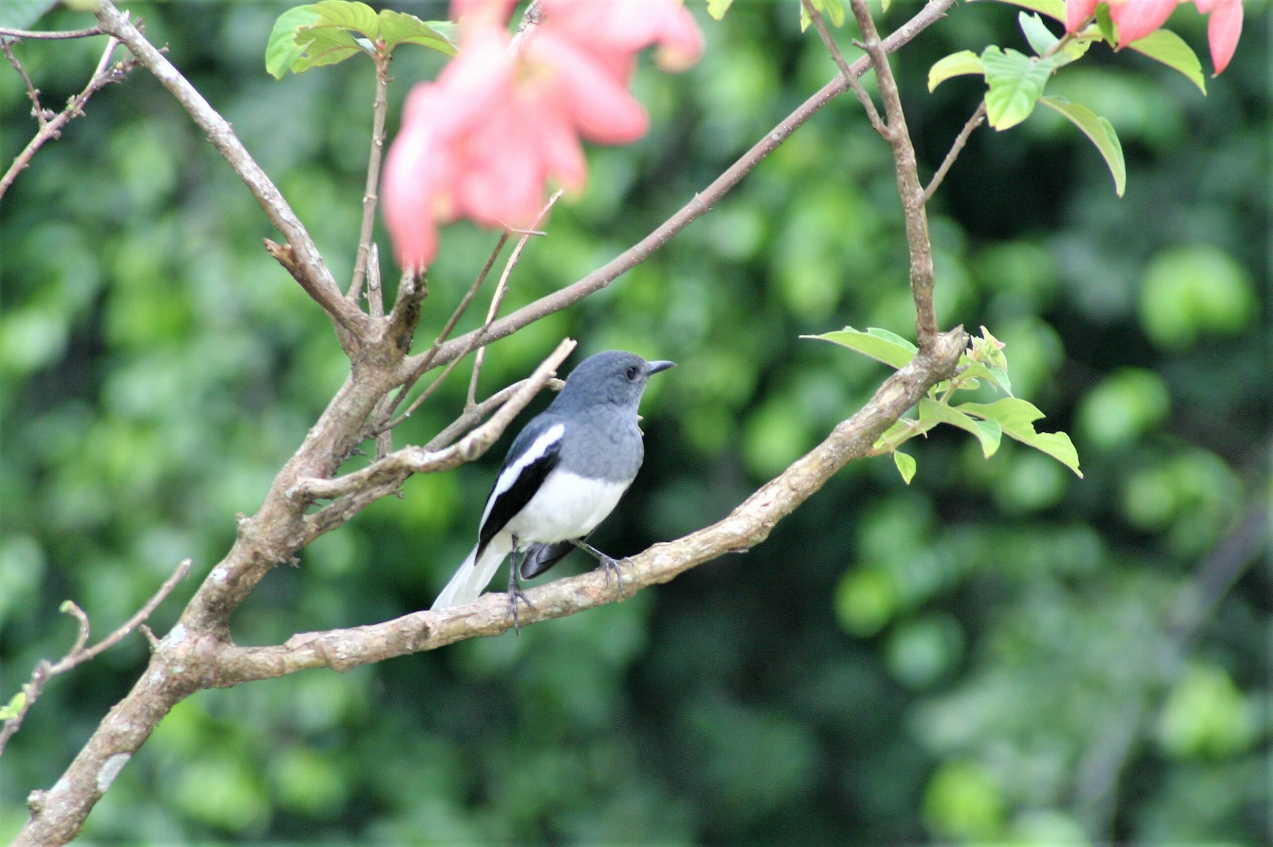 Lebenswege kommen zusammen und manche trennen sich wieder